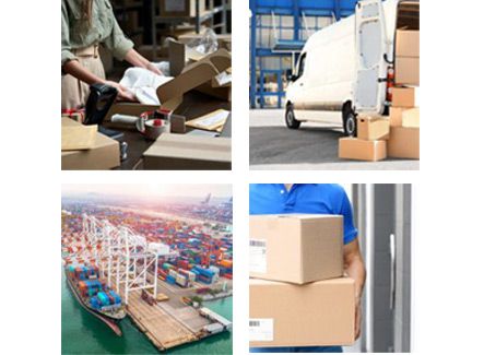 Our Lightning-Fast Shipment