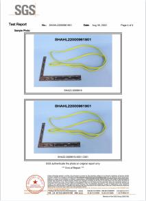 REACH Phthalates by SGS-6